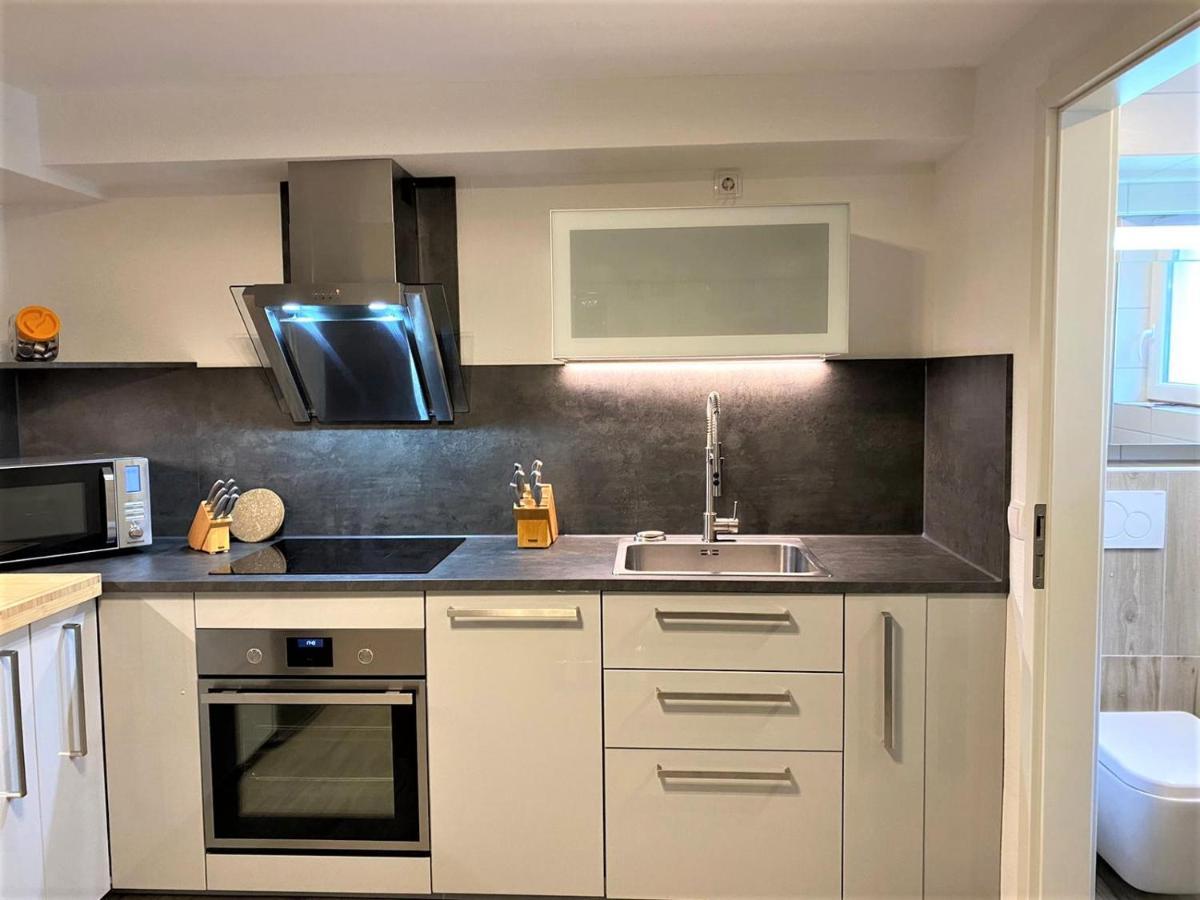 Alice Apartment Wackernheim Ingelheim am Rhein Kültér fotó