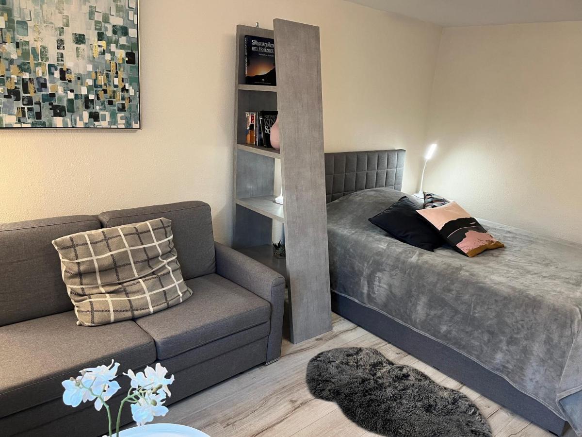 Alice Apartment Wackernheim Ingelheim am Rhein Kültér fotó