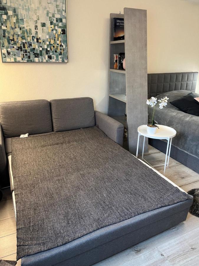 Alice Apartment Wackernheim Ingelheim am Rhein Kültér fotó